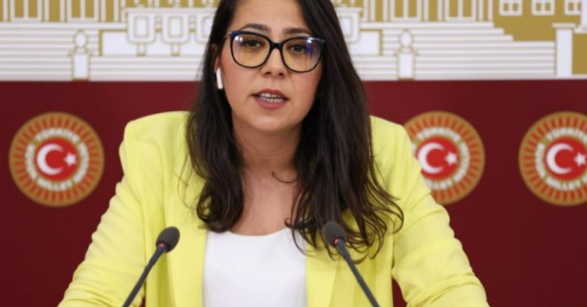 Türkiye İşçi Partisi Milletvekili Saliha Sera Kadıgil Sütlü’nün Mesleği Nedir?