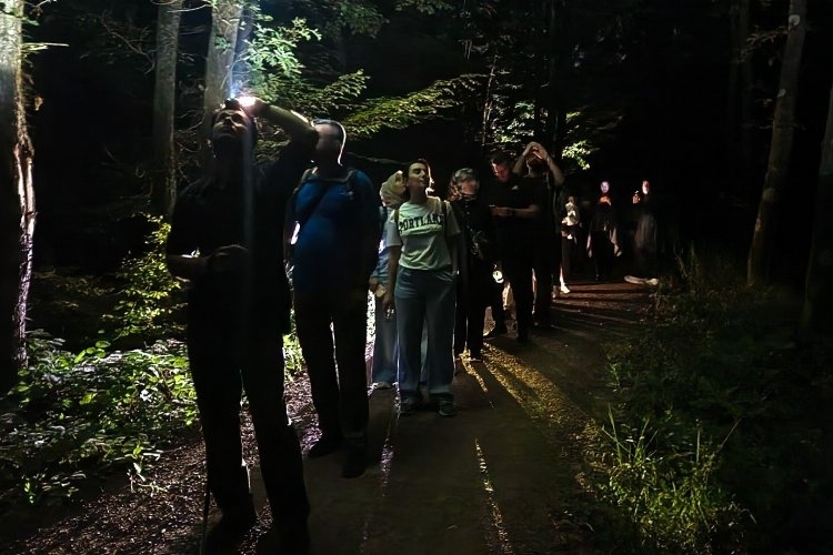 Ormanya’da macera dolu gece yürüyüşü