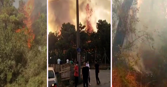 Gebze'de orman yangını panik yarattı (GÖRÜNTÜLÜ)