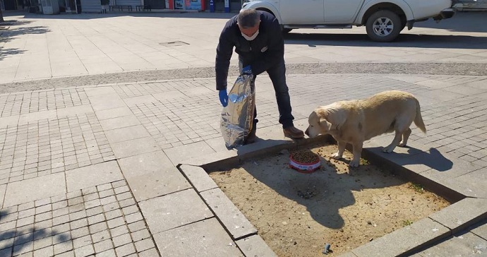 Gebze Belediyesi sokak hayvanlarını unutmadı